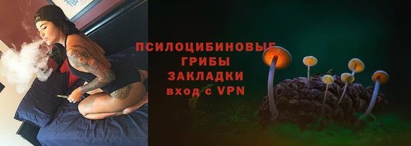дмт Баксан