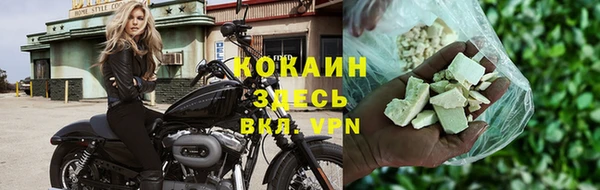 крисы Балахна