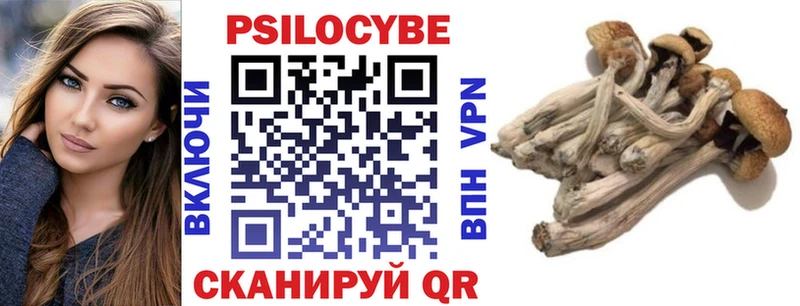продажа наркотиков  Щигры  Галлюциногенные грибы GOLDEN TEACHER 