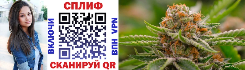 omg рабочий сайт купить закладку Щигры Канабис Ganja